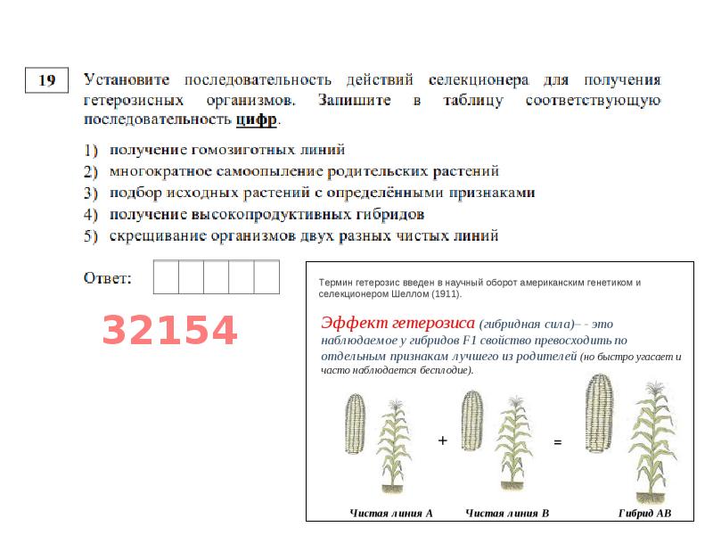 Биология разбор варианта егэ. Разбор варианта ЕГЭ по биологии.