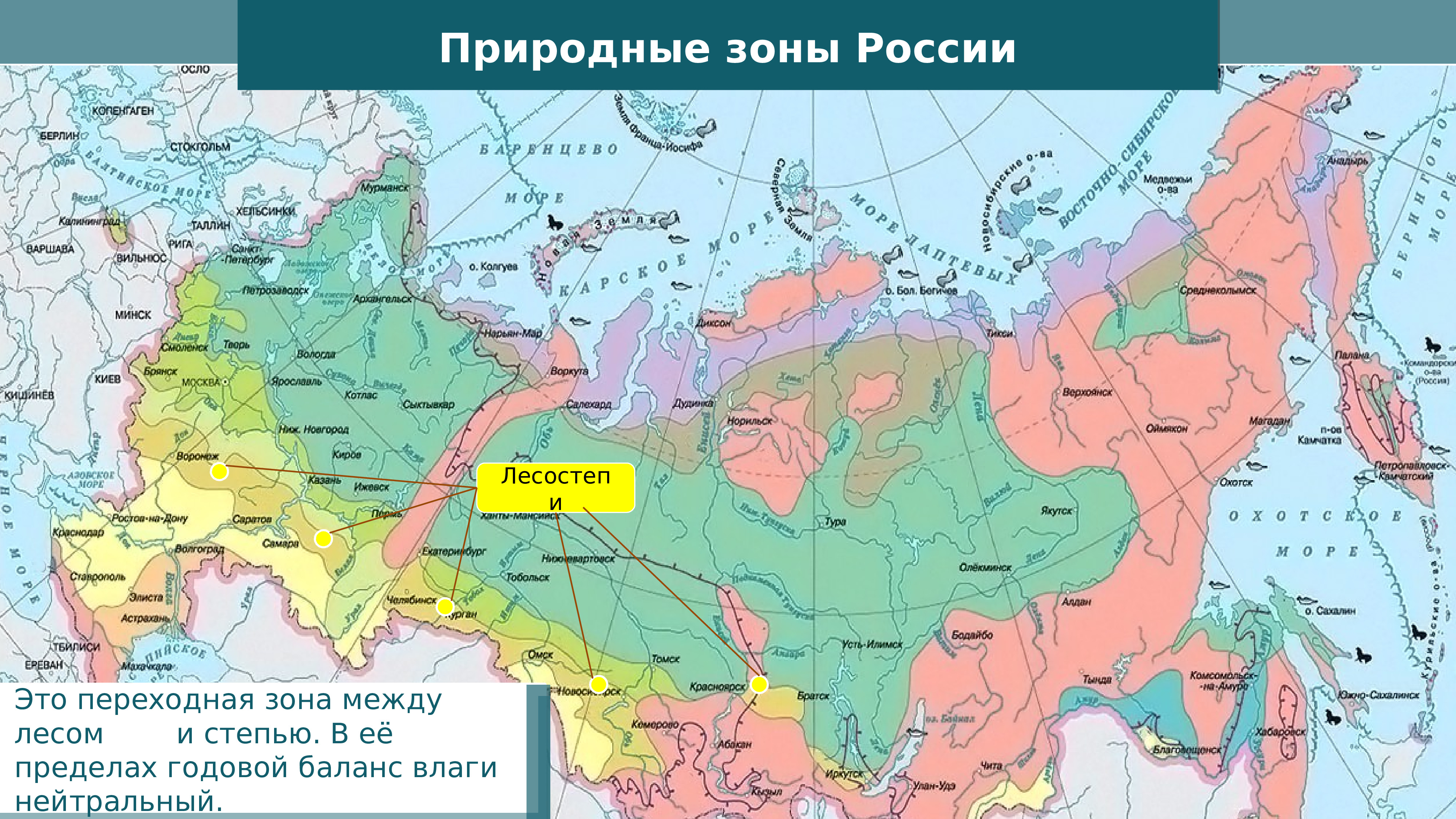 Карта природных зон России субтропики