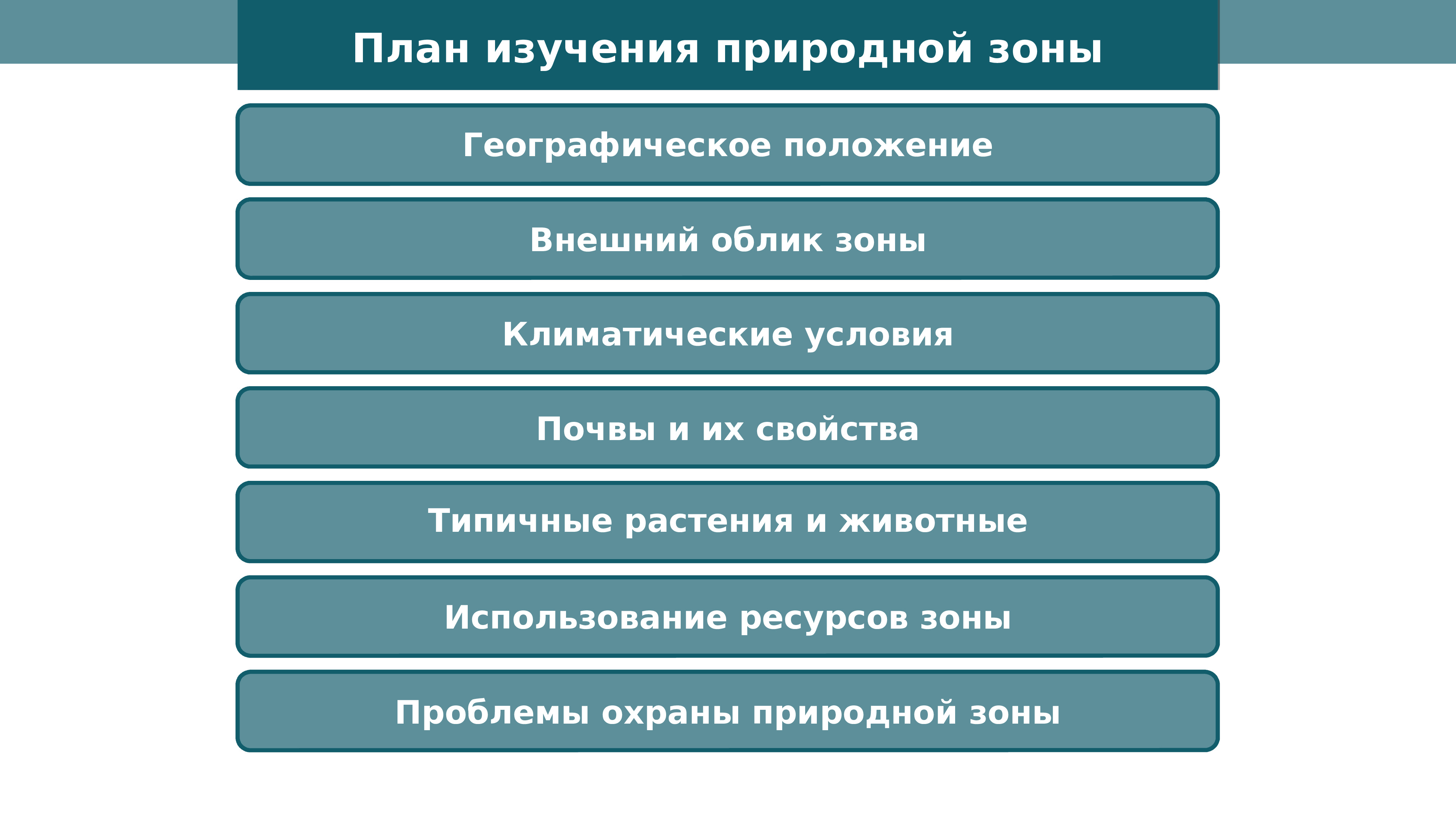 План изучения языков