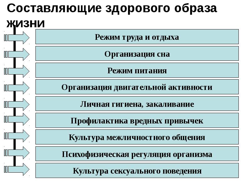 Процесс организации здорового образа жизни презентация