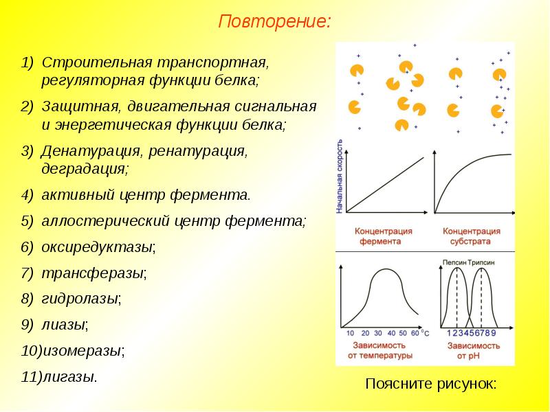 Сигнальную двигательную транспортную и защитную