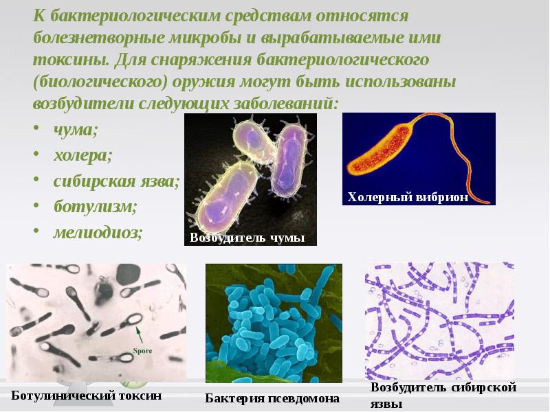 Бактерии примеры болезней