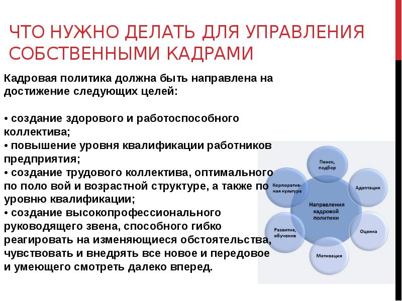 Создание работоспособного коллектива для выполнения планов организации