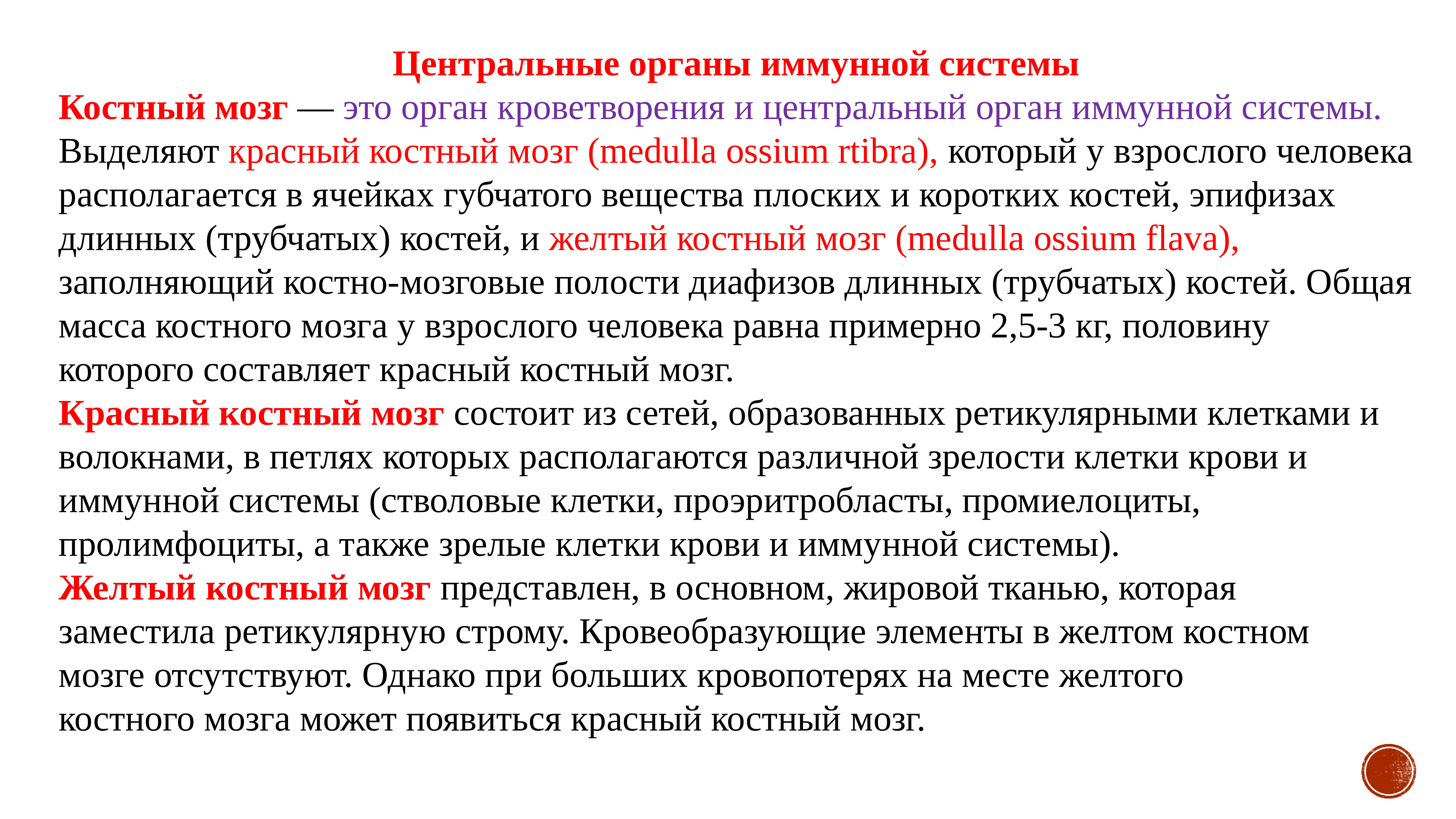 Функция желтого костного мозга в трубчатой. Желтый костный мозг функции. Монография «функциональная анатомия лимфатической системы» Жданов. Созревание клеток в костном мозге.