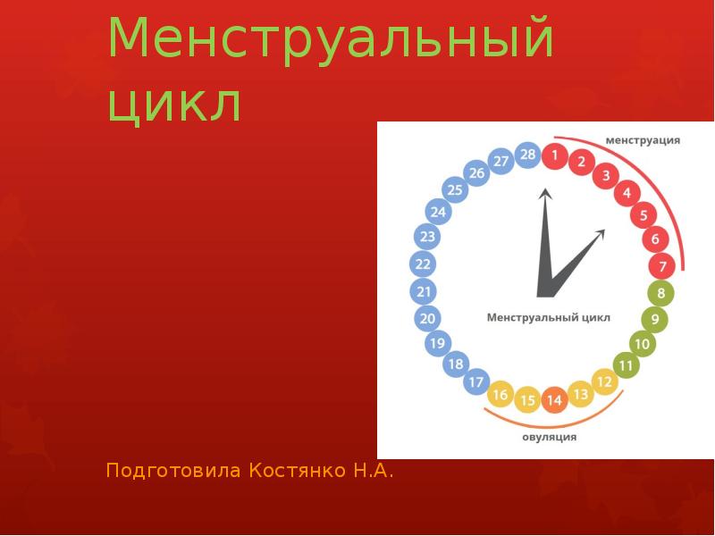 Презентация на тему менструальный цикл