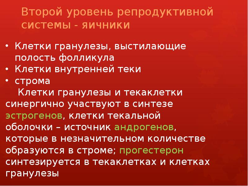 Второй уровень репродуктивной системы - яичники