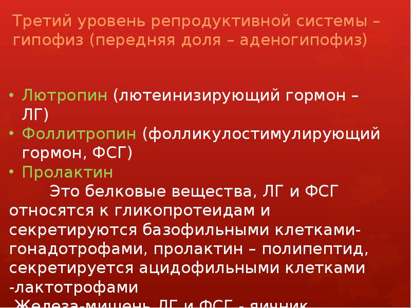 Третий уровень репродуктивной системы – гипофиз (передняя доля – аденогипофиз)