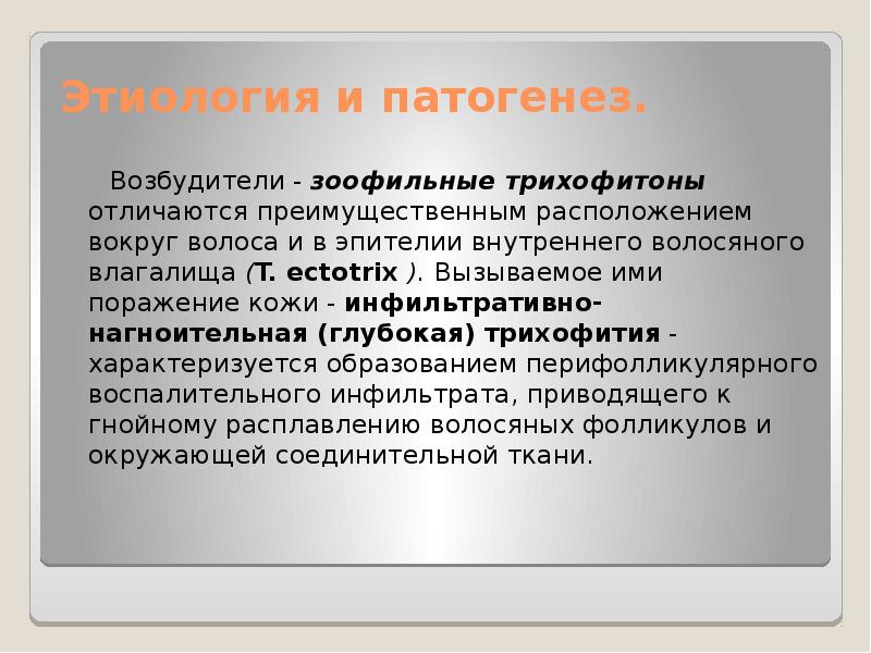 Этиология и патогенез.
Возбудители - зоофильные трихофитоны отличаются Этиология и патогенез.
Возбудители - зоофильные трихофитоны отличаются
