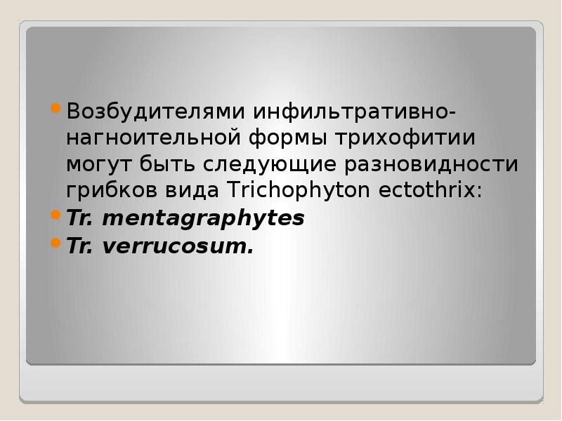 Возбудителями инфильтративно-нагноительной формы трихофитии могут быть следующие разновидности грибков вида Trichophyton Возбудителями инфильтративно-нагноительной формы трихофитии могут быть следующие разновидности грибков вида Trichophyton