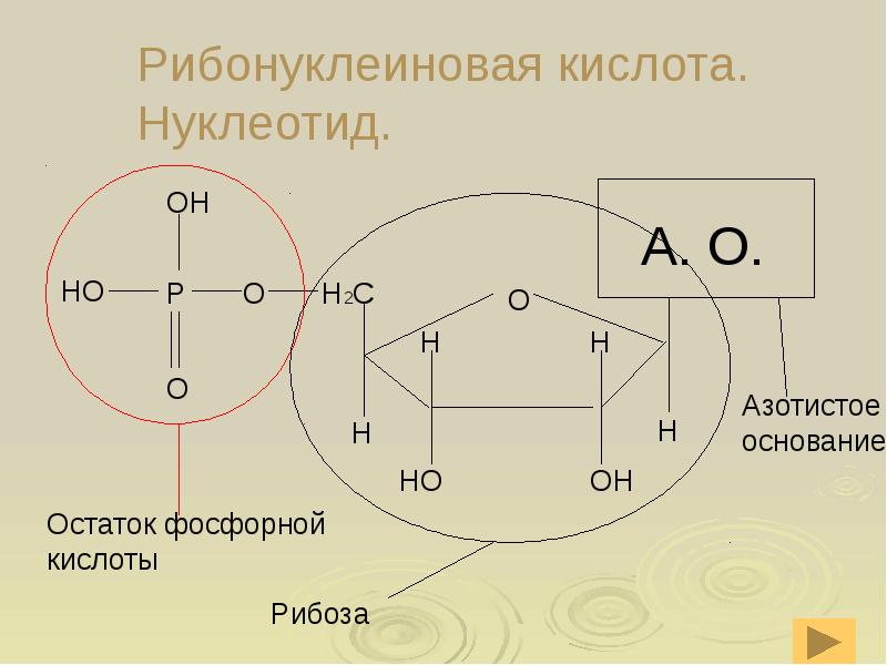 Содержат два остатка фосфорной кислоты. Рибонуклеиновая кислота. Азотистое основание рибоза остаток фосфорной. Нуклеотид остаток фосфорной кислоты. Содержит 3 остатка фосфорной кислоты.