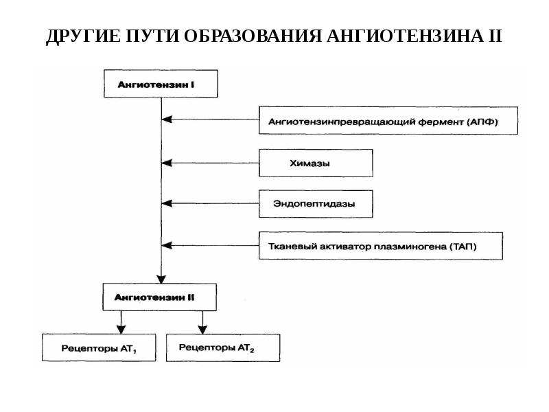 Пути образования