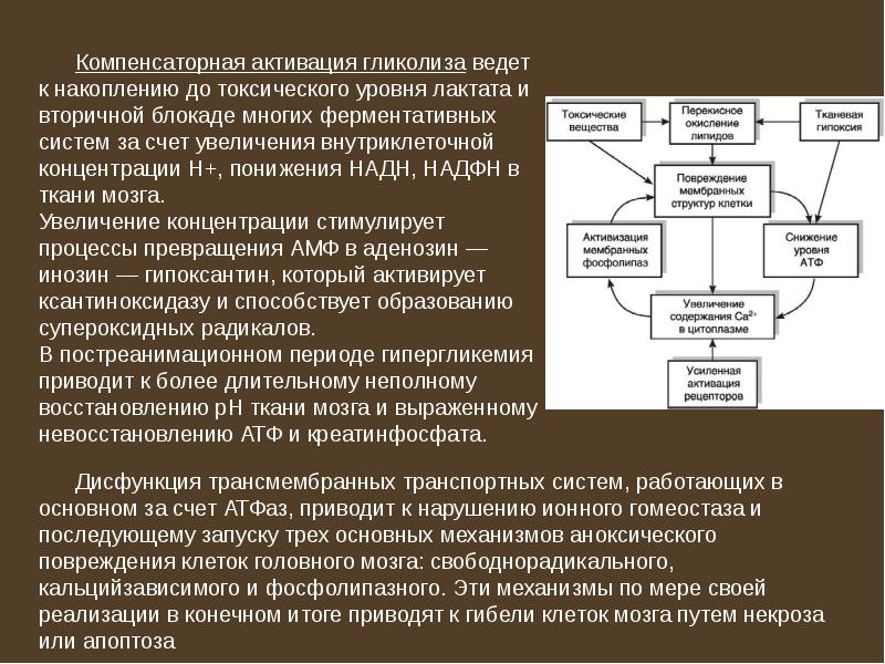 Постреанимационная болезнь презентация