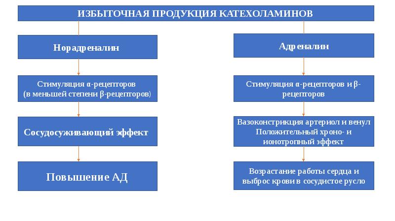 Эндокринные артериальные гипертензии