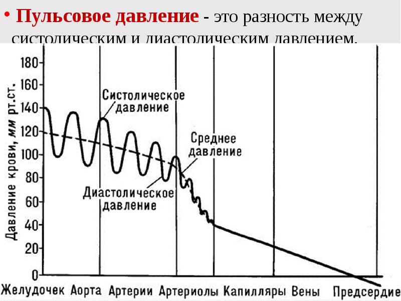 Распределение давления крови в сосудистой системе. График изменения давления крови. Пульсовпульсовое давление. Кровяное давление в различных отделах системы кровообращения.