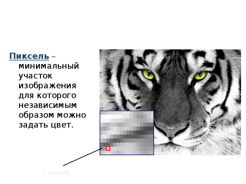 Минимальный участок изображения на экране монитора которому независимым образом можно задать цвет