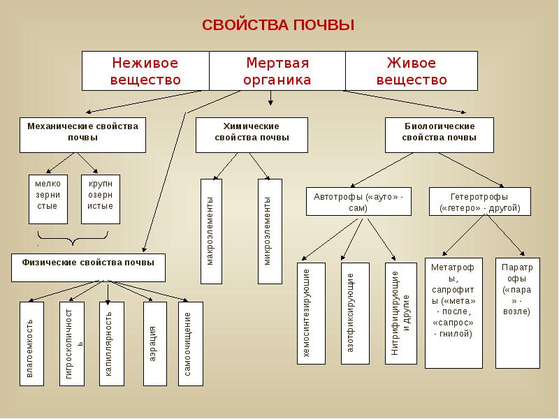 Химические свойства почвы