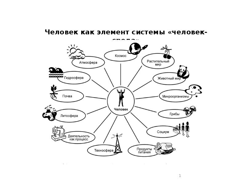 Человек как система схема