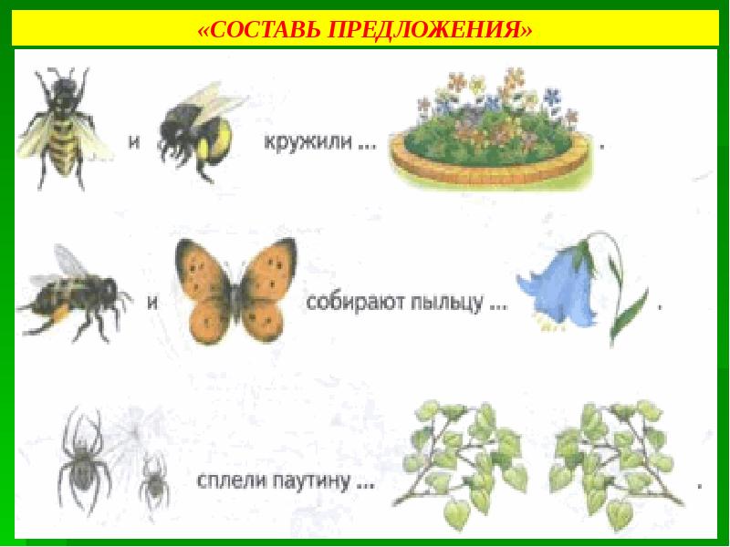 Презентация по развитию речи в старшей группе насекомые