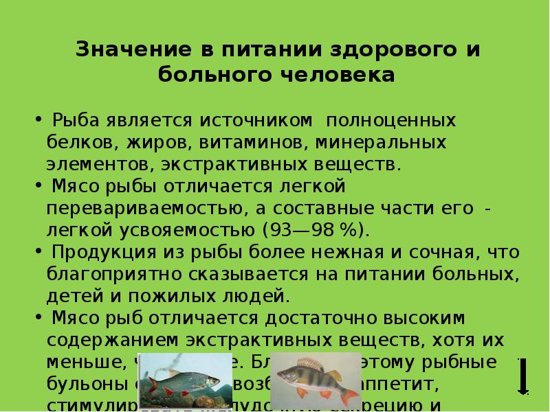 Характеристика рыбы быка. Характеристика рыбы быка