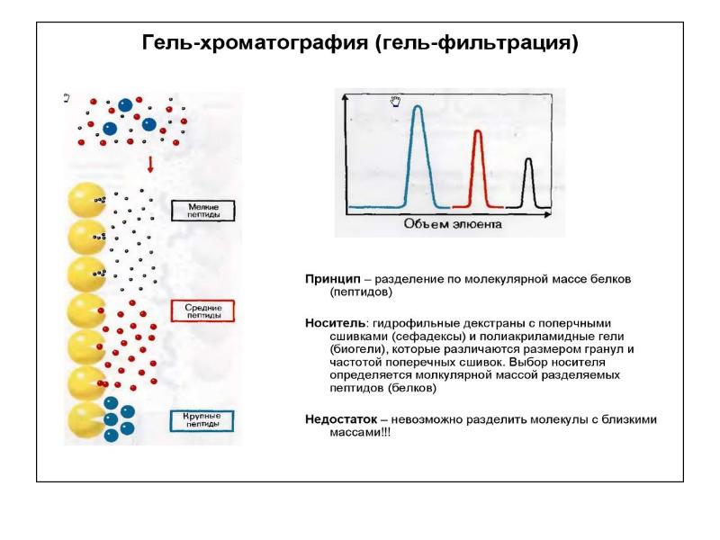 Ферментативная активность бактерий