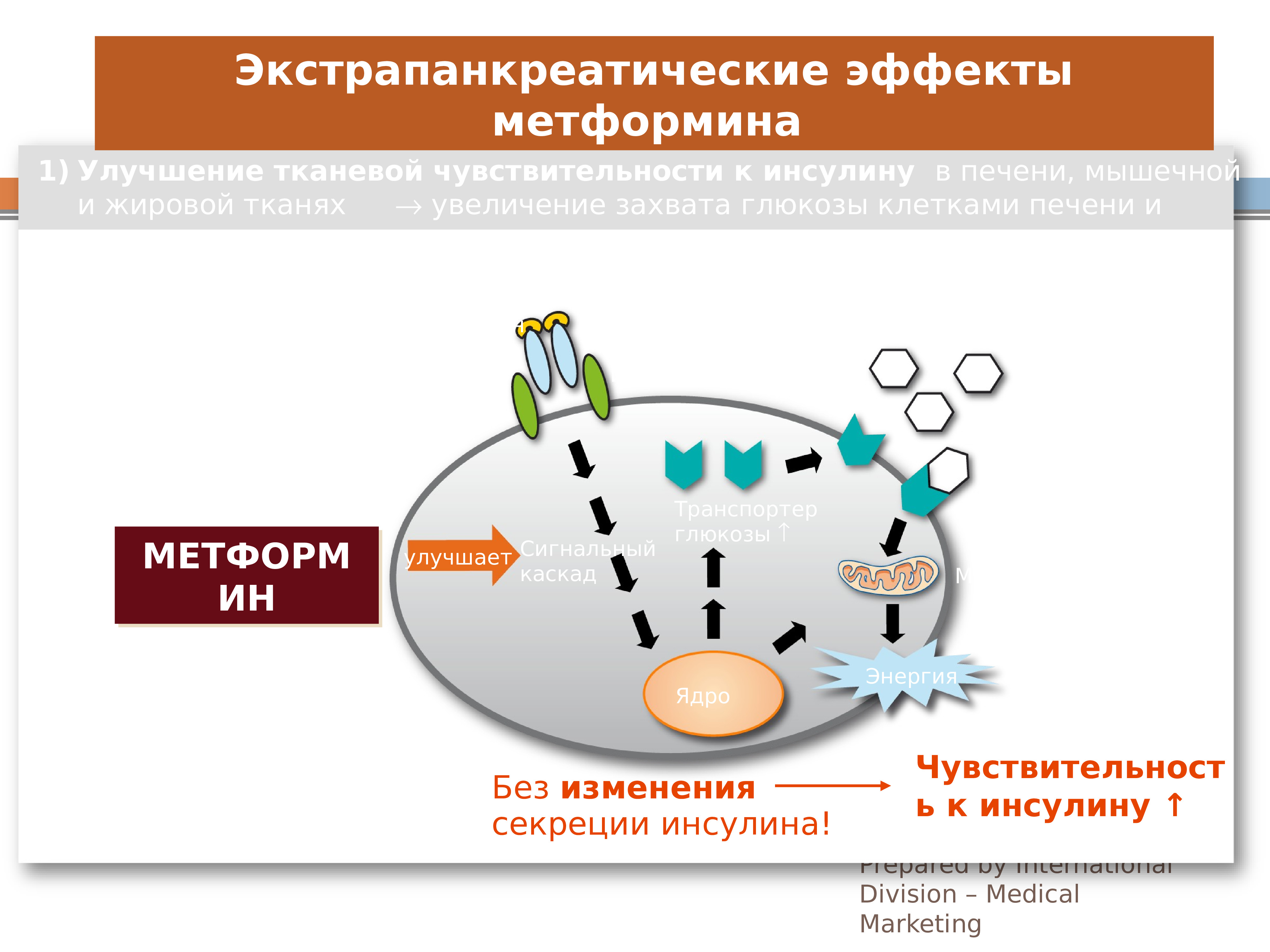 Симптомы сахарного диабета на ранних стадиях. Сахарный диабет презентация. Сахарный диабет схемы для презентации красивые. Перепрограммирование клетки сахарный диабет. Шаблоны для презентаций POWERPOINT сахарный диабет.