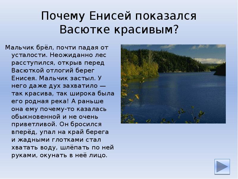 Мальчик брел по тайге почти. Отлогий берег Енисея. В тайге, у Енисея. Сообщение о Енисее. Почему называется Енисей.