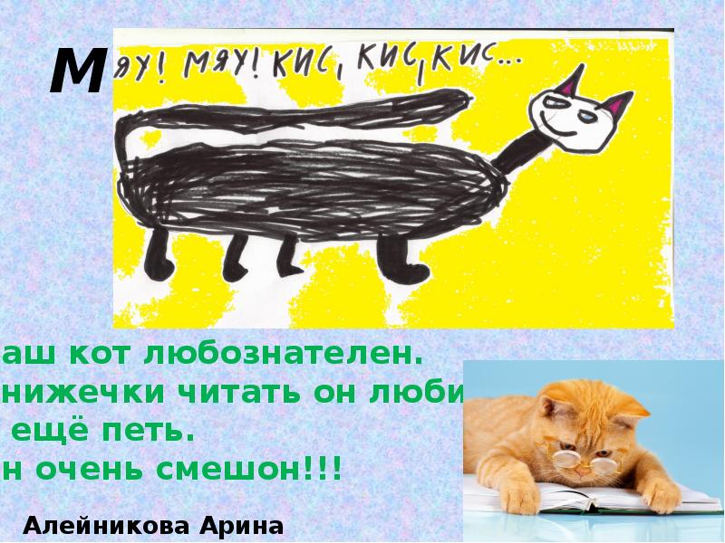 Презентация мой кот