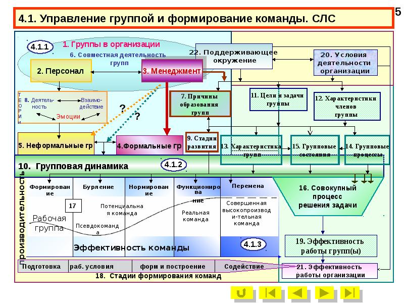 Этапы развития команд в организации презентация