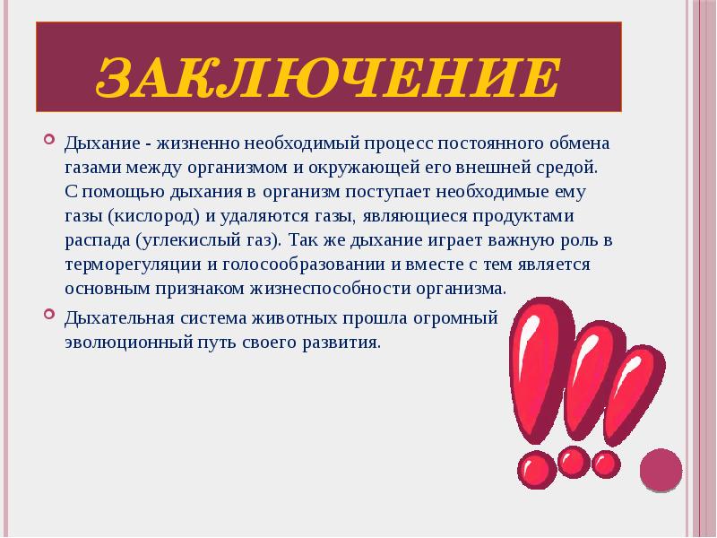 Дыхание вывод. Органы дыхания вывод. Вывод по дыхательной системе. Дыхательная система заключение. Заключение по дыхательной системе.