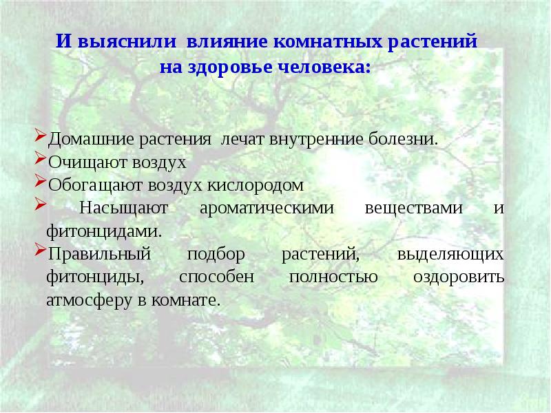 Влияние комнатных растений на здоровье человека индивидуальный проект