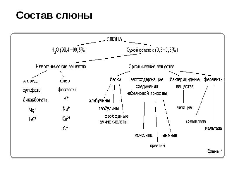 Состав слюны