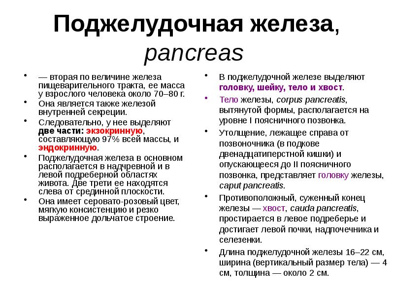 Поджелудочная железа, pancreas  — вторая по величине железа пищеварительного тракта,