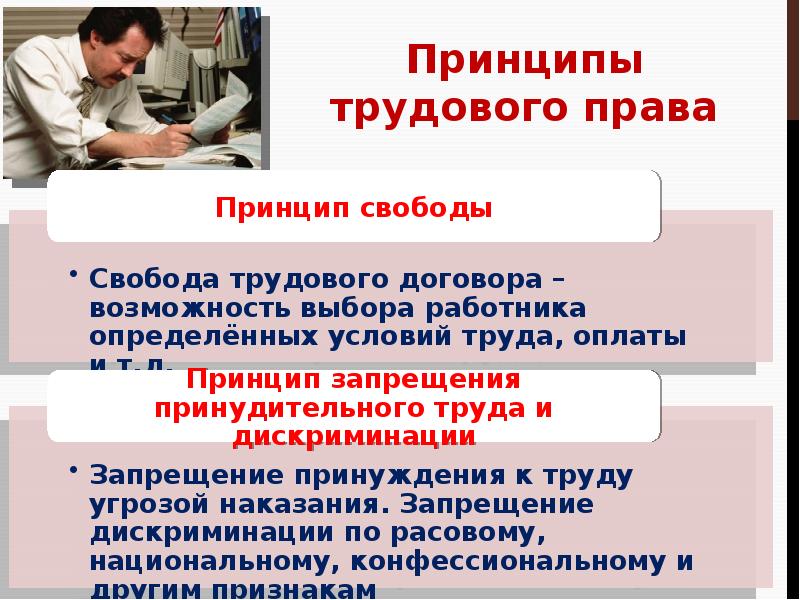 Трудовое право проект