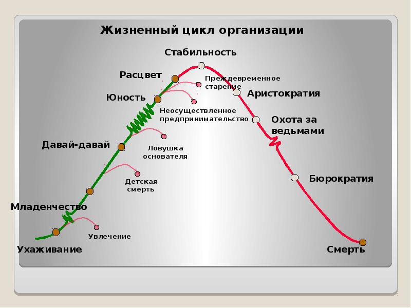 Презентация жизненный цикл организации