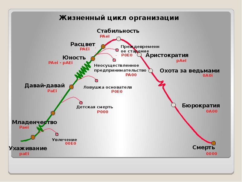 Модель и адизеса презентация