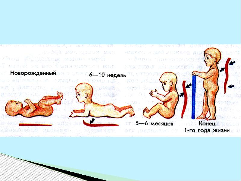 Презентация на тему развитие ребенка после рождения