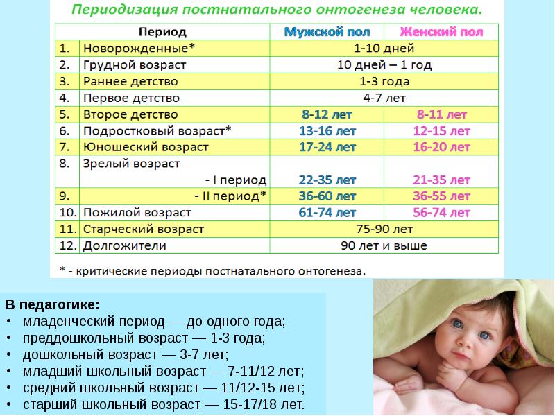 Период преддошкольного и дошкольного возраста презентация