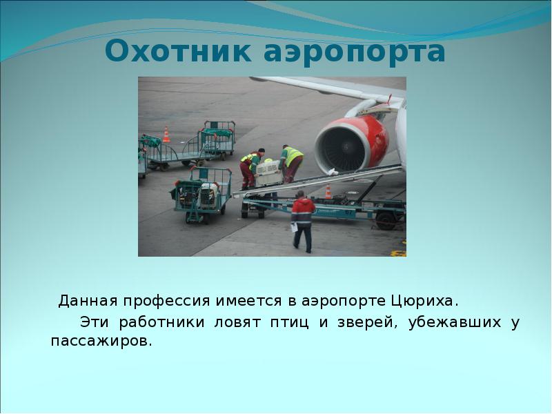 Охотник аэропорта         