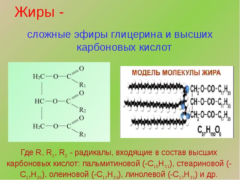 Презентация на тему карбоновые кислоты сложные эфиры жиры