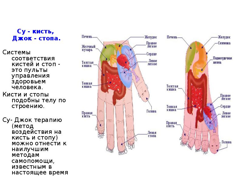 Су джок терапия