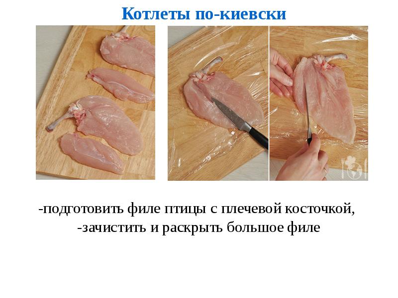 Мясо птицы презентация 8 класс технология презентация