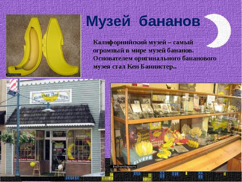 Самые необычные музеи мира презентация