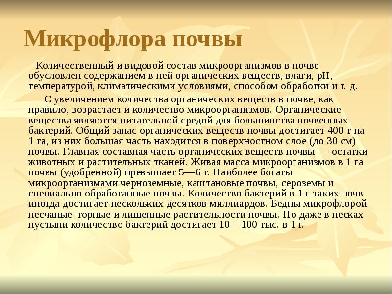 Микрофлора почвы микробиология