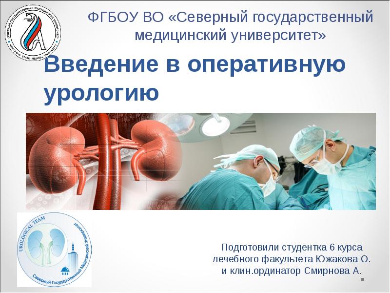 Порядок по урологии взрослых. Клинические рекомендации урология. Порядок оказания первичной медико-санитарной помощи. Стандартизация оказания медицинской помощи. Презентация мкб в урологии.