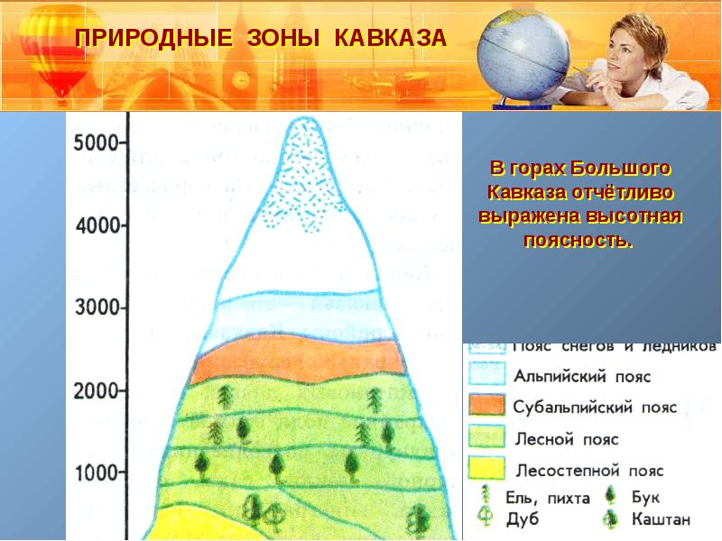 Презентация по географии 8 класс субтропики высотная поясность в горах полярная звезда