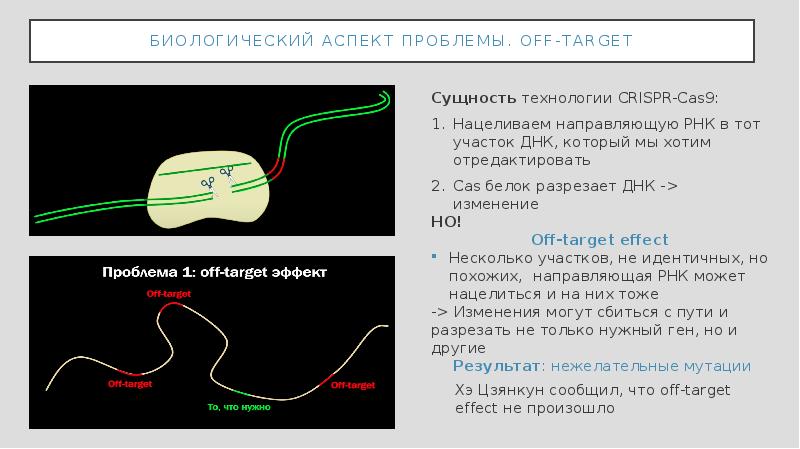 Биологический аспект