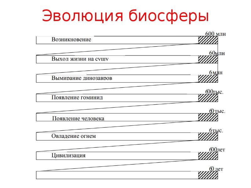 Процесс эволюции биосферы проект