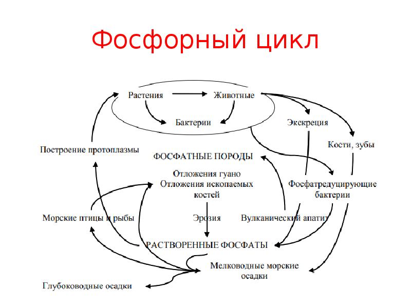 Химия и окружающая среда презентация