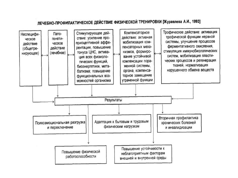 Выделяют следующие механизмы действия физических упражнений. Лечебно-профилактическое действие физической тренировки. Механизмы лечебного действия физических упражнений. Лечебно-профилактическое действие лечебной физкультуры. Механизмы лечебного действия физических упражнений в ЛФК.