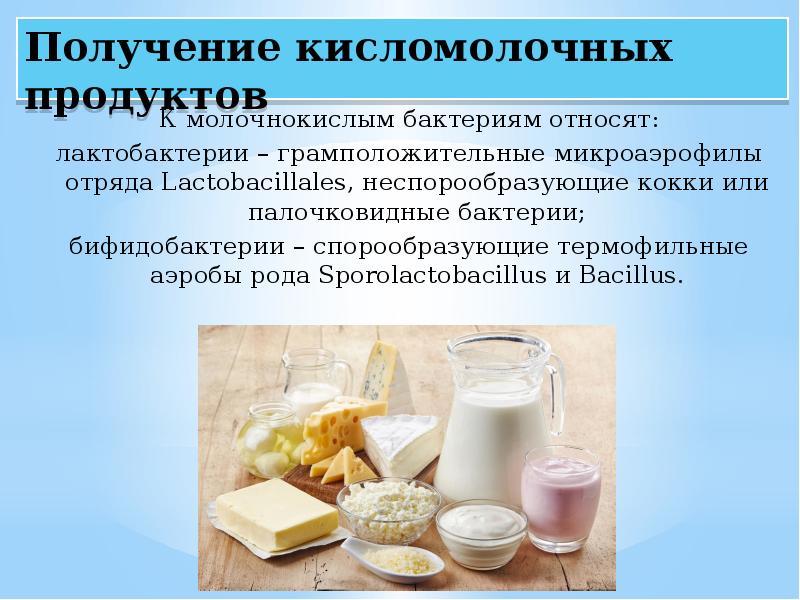Какие есть кисломолочные продукты. Бактерии в кисломолочных продуктах. Роль молочнокислых бактерий.